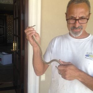 Meet your Posher, Marty